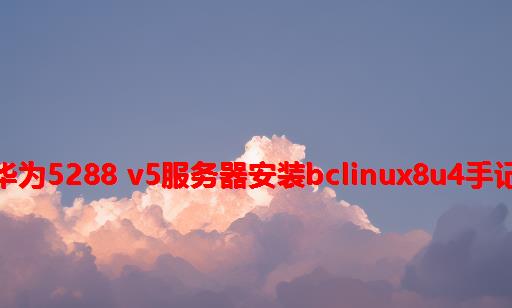 华为5288 V5服务器安装BCLinux8U4手记